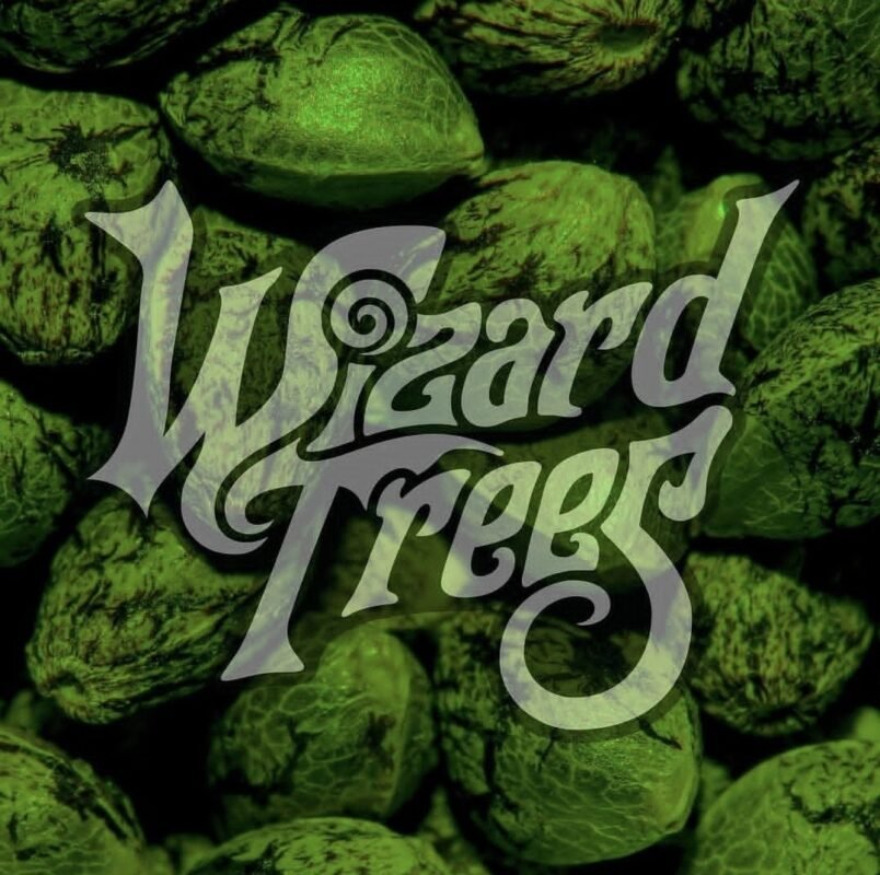 wizard trees seeds