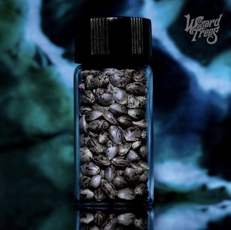 wizard trees seeds